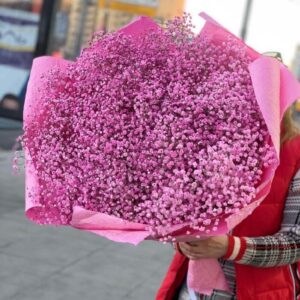 Букет из 25 розовых гипсофил