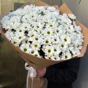 Букет из 15 кустовых хризантем