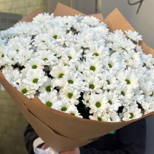 Букет из 15 кустовых хризантем