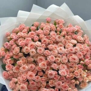 Букет из 29 кустовых роз