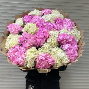 Букет из 25 гортензий