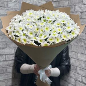 Букет из 15 кустовых хризантем