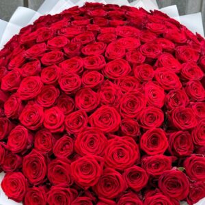 Букет из 151 красных роз